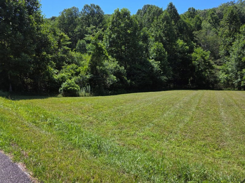 Lot 36 Dobson Road/ Brookstone Vista Ln LOT 36