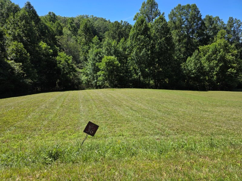 Lot 36 Dobson Road/ Brookstone Vista Ln LOT 36