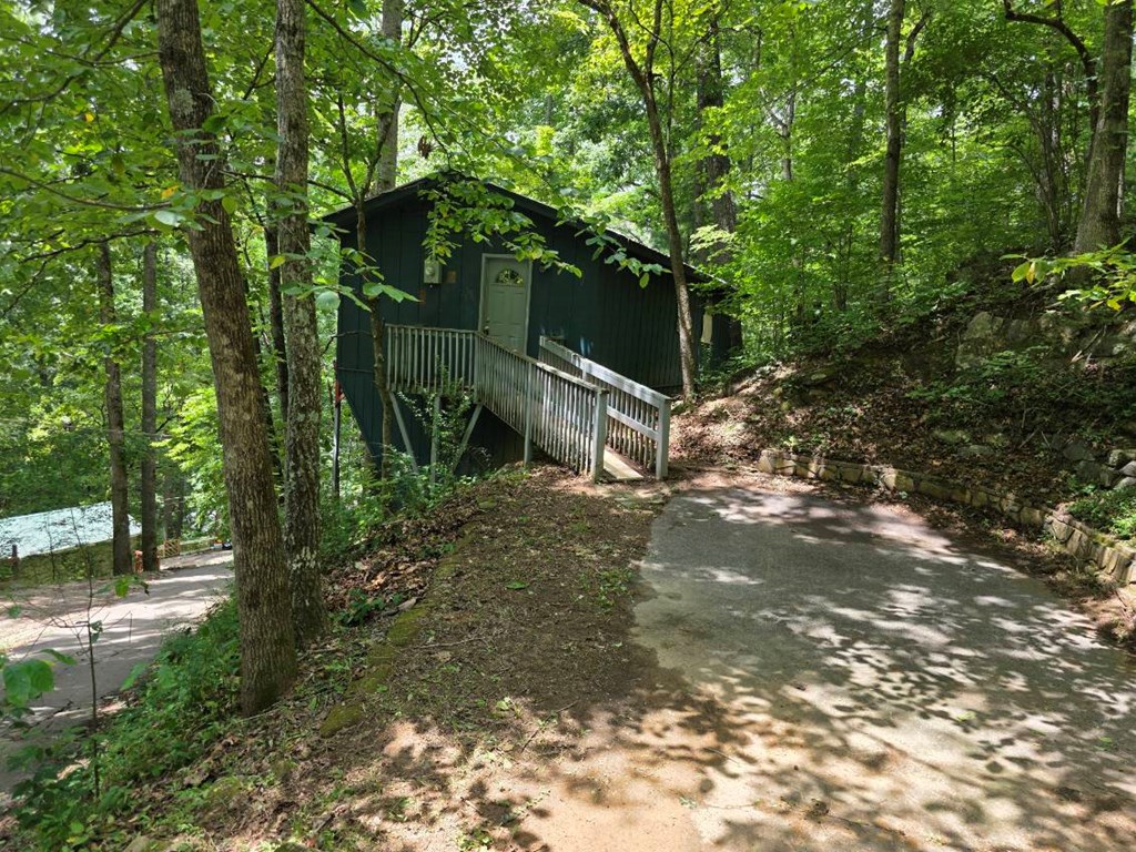 222 Forest Cove Rd