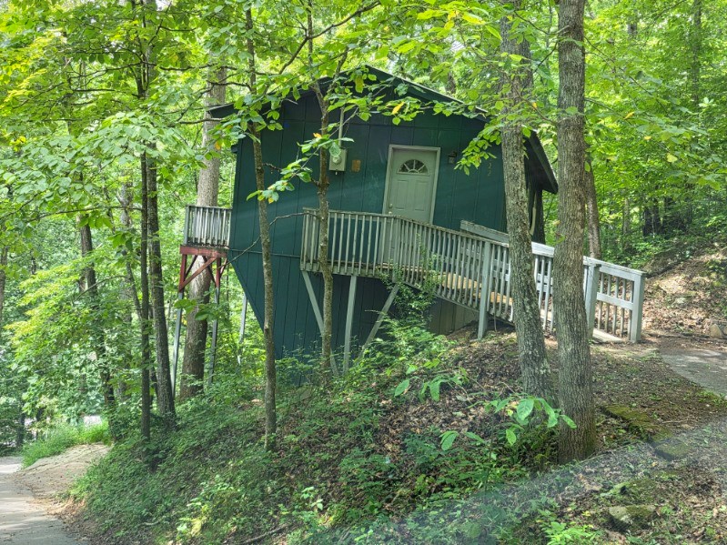 222 Forest Cove Rd