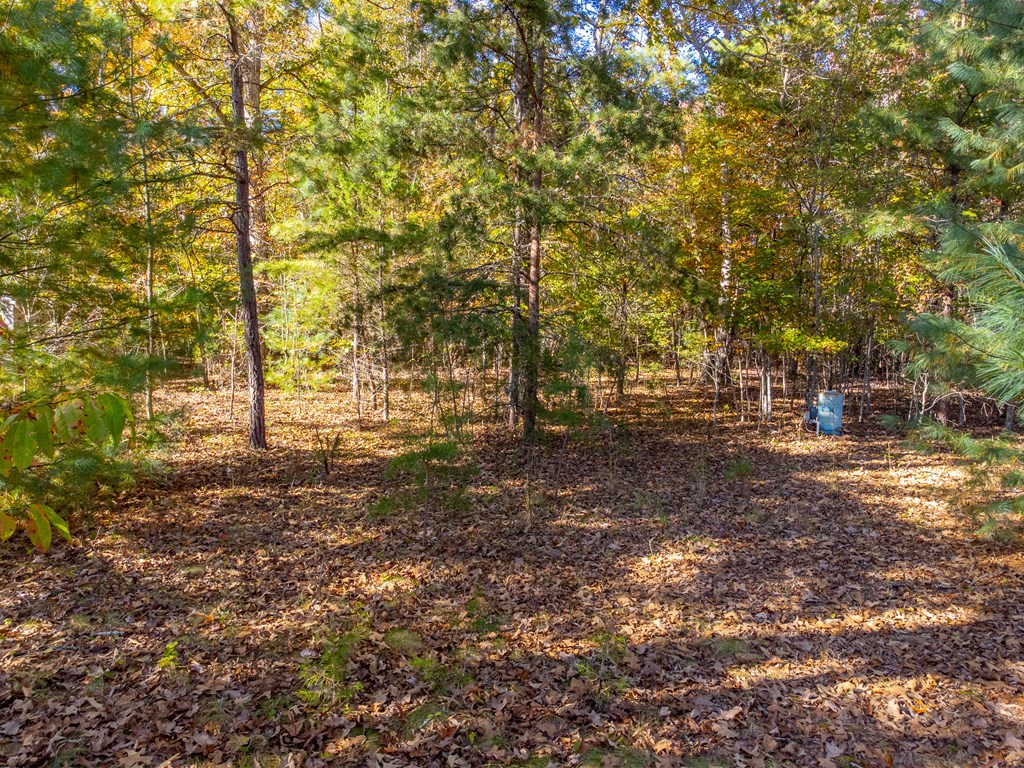 832 Lakey Creek Road