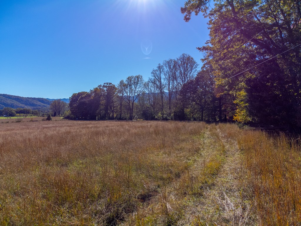 832 Lakey Creek Road