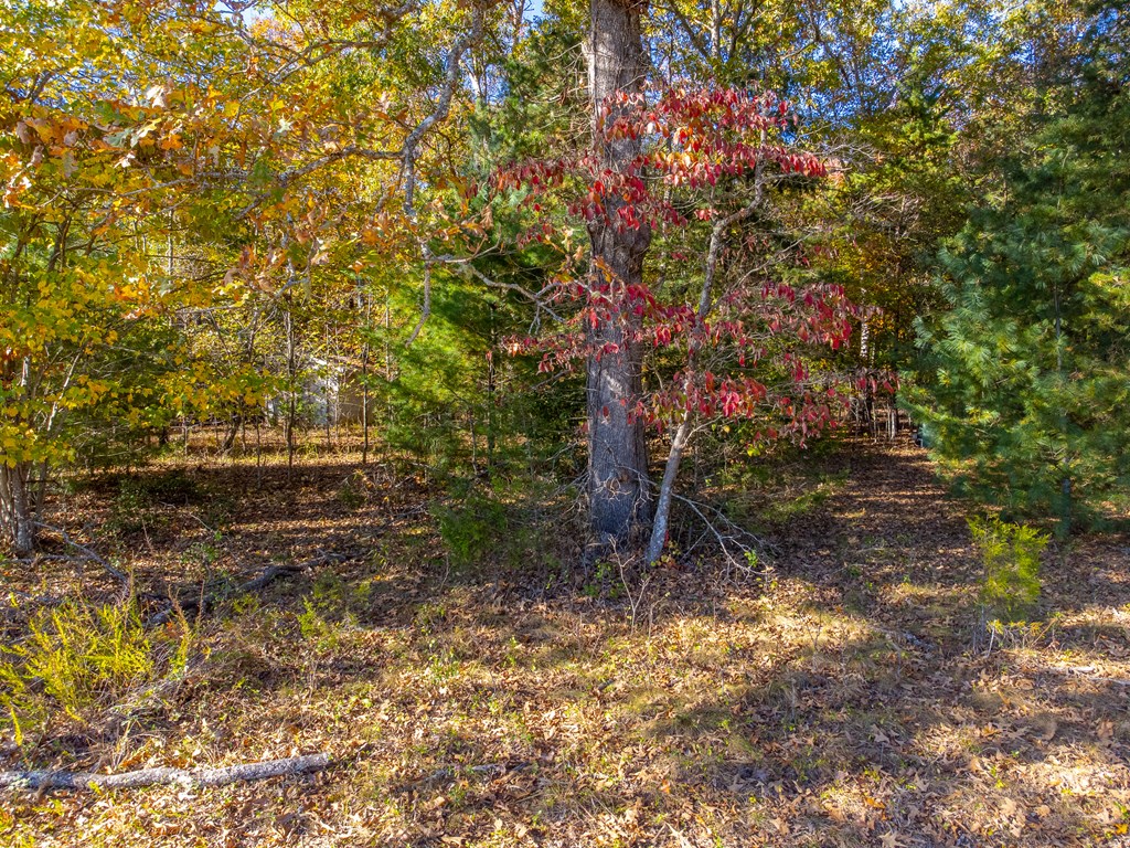832 Lakey Creek Road