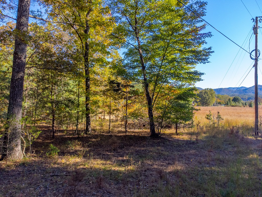832 Lakey Creek Road