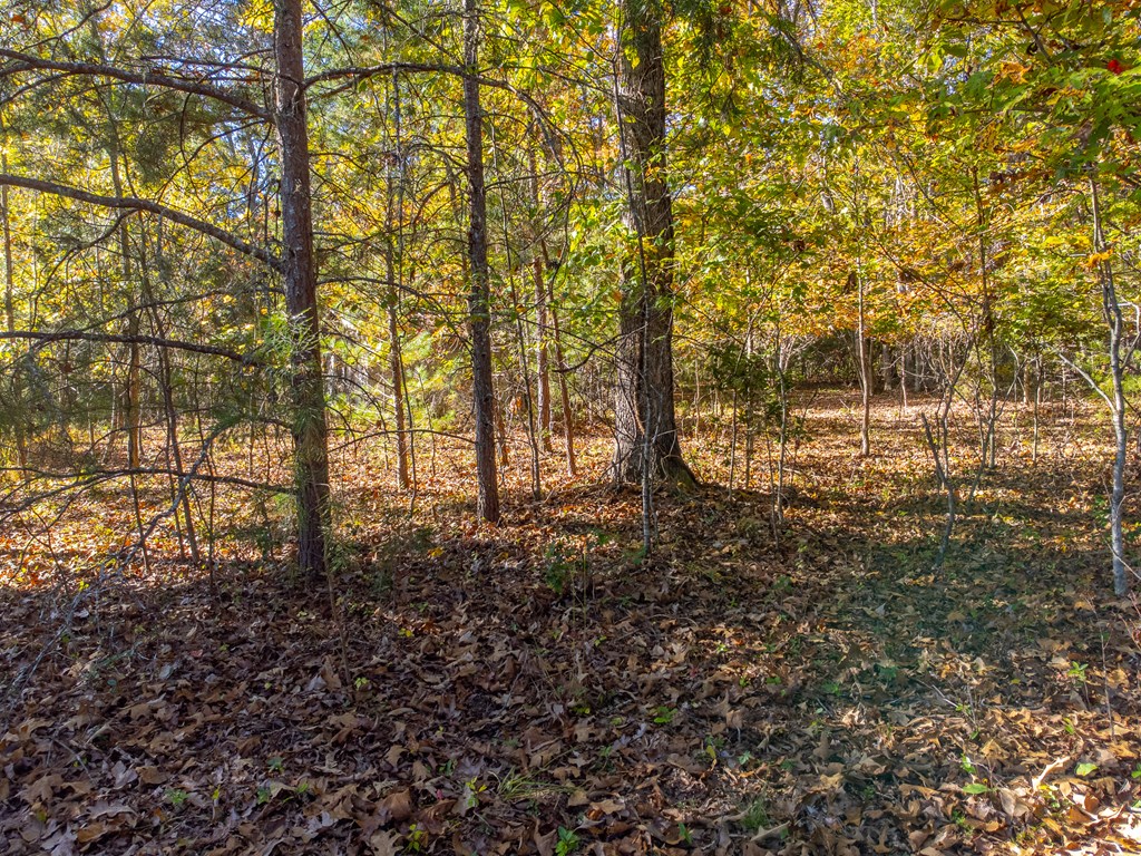 832 Lakey Creek Road