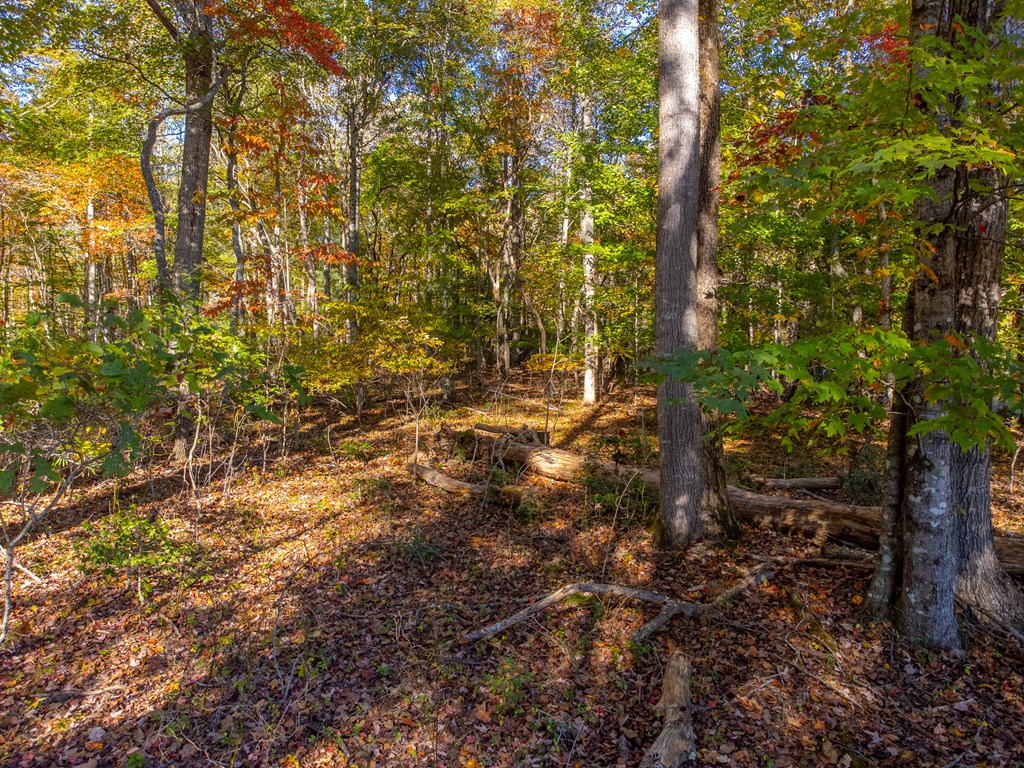 832 Lakey Creek Road