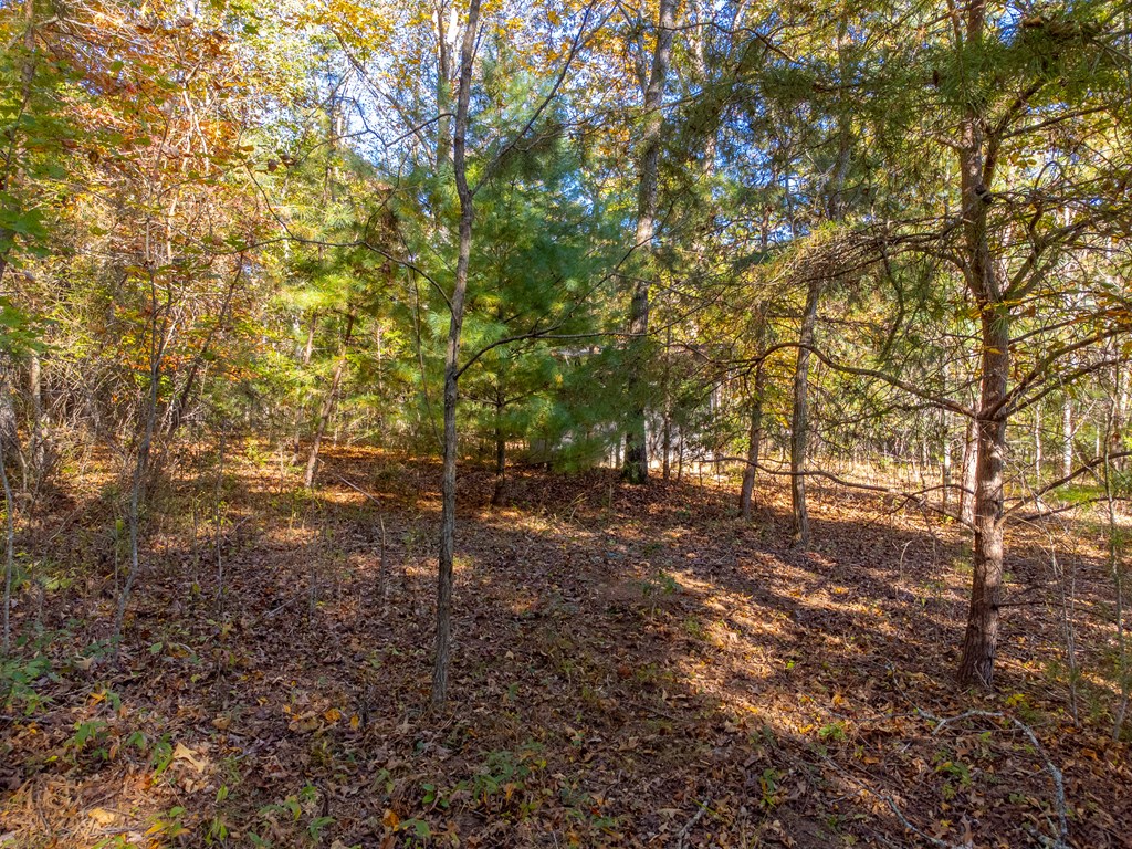 832 Lakey Creek Road