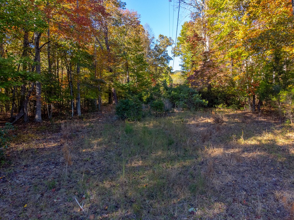 832 Lakey Creek Road