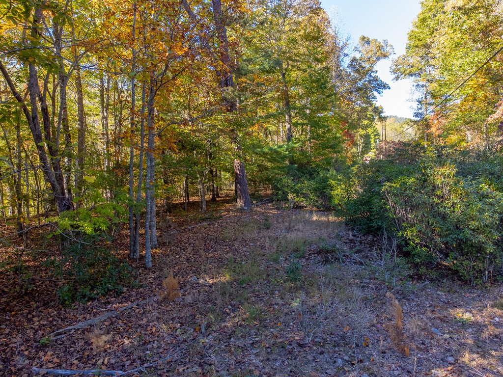 832 Lakey Creek Road