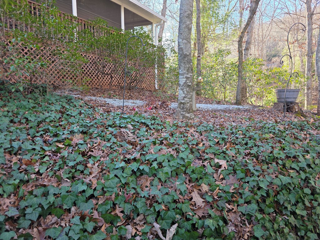 380 Country Woods Drive