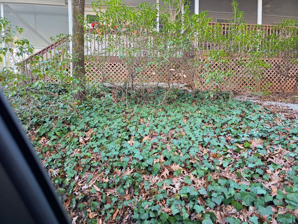 380 Country Woods Drive