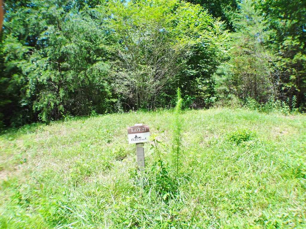 Lot #21 Porter Creek Drive LOT 21