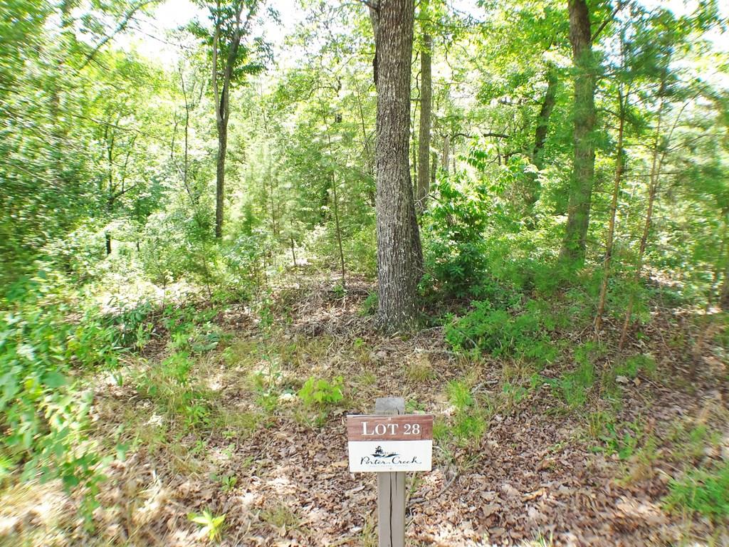 Lot #28 Porter Creek Drive LOT 28