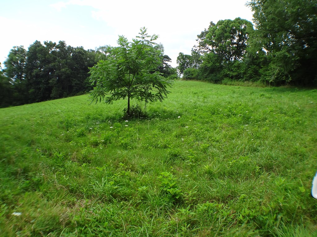 Lot # 9 Porter Creek Drive LOT 9