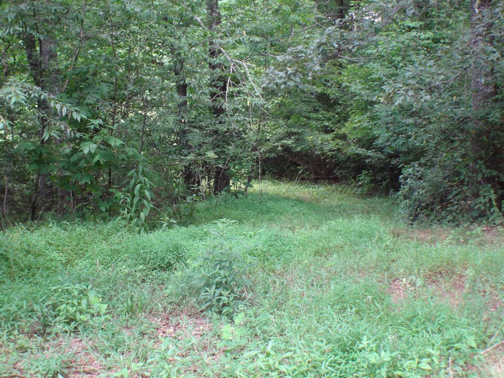 Lot # 9 Porter Creek Drive LOT 9