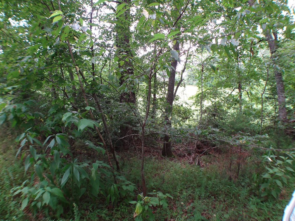 Lot # 9 Porter Creek Drive LOT 9