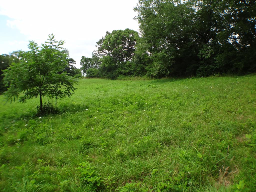 Lot # 9 Porter Creek Drive LOT 9