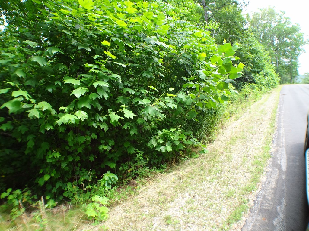 Lot #10 Porter Creek Drive LOT 10