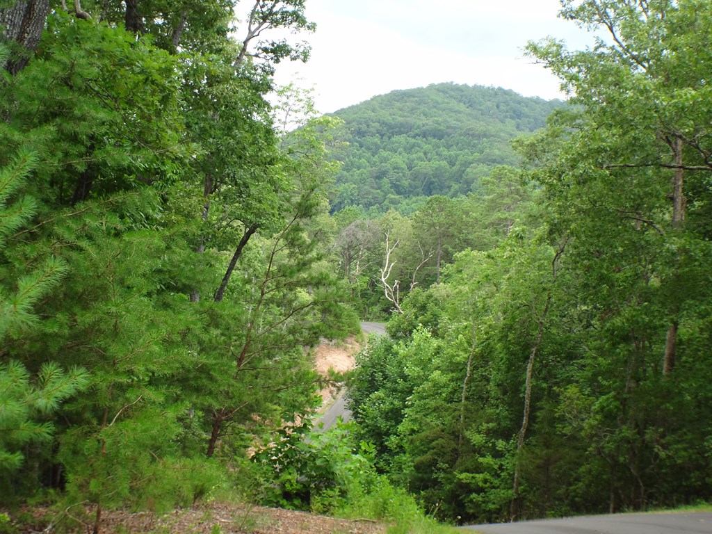 Lot # 11 Porter Creek Drive LOT 11