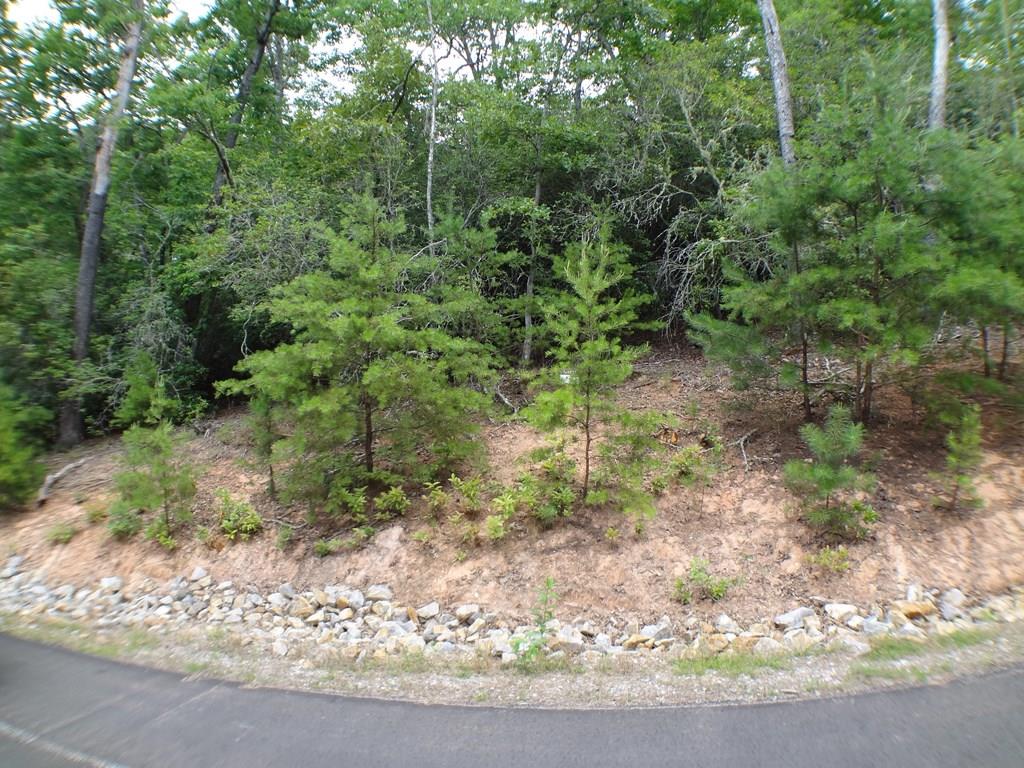 Lot # 14 Porter Creek Drive LOT 14