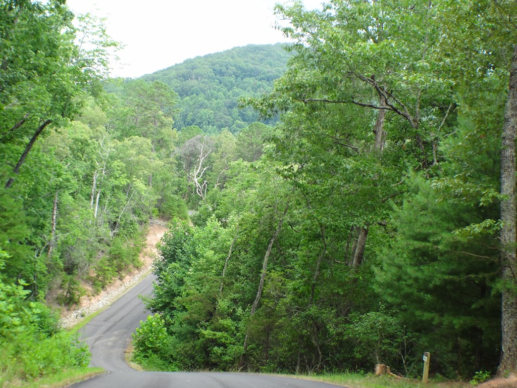 Lot # 14 Porter Creek Drive LOT 14