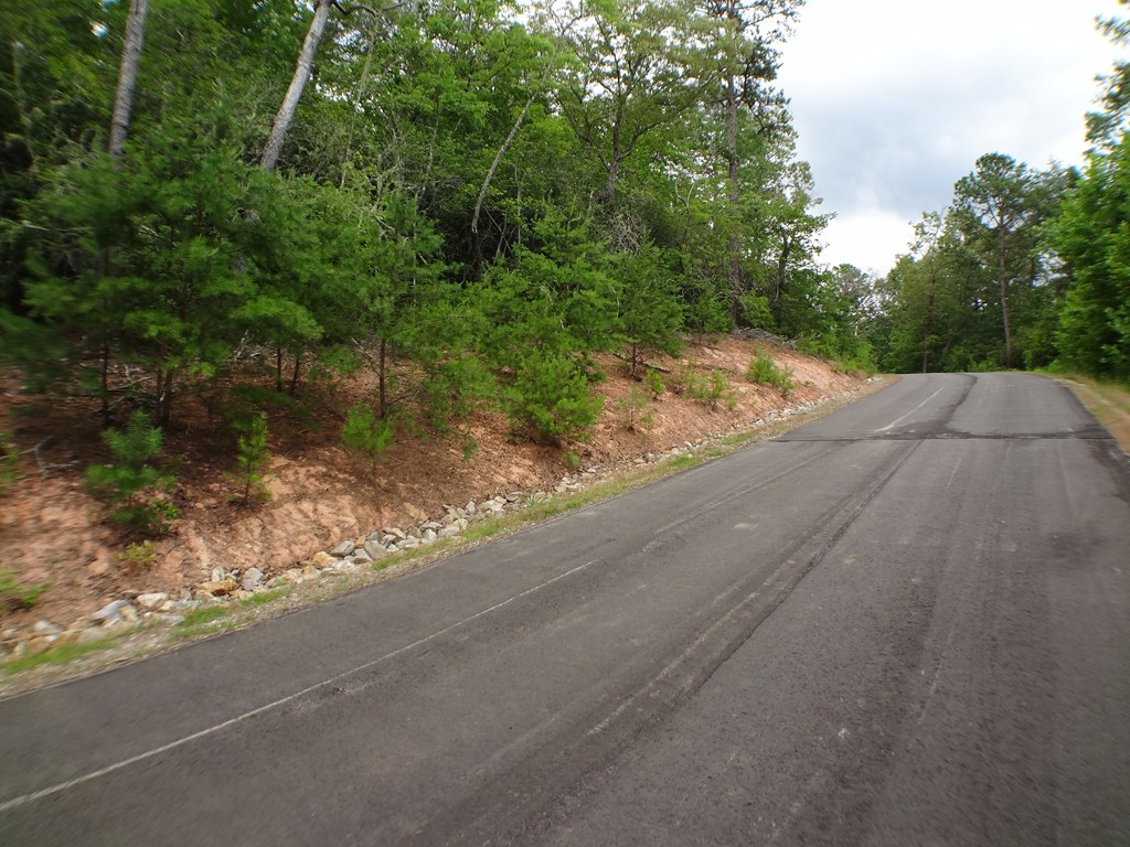 Lot # 14 Porter Creek Drive LOT 14