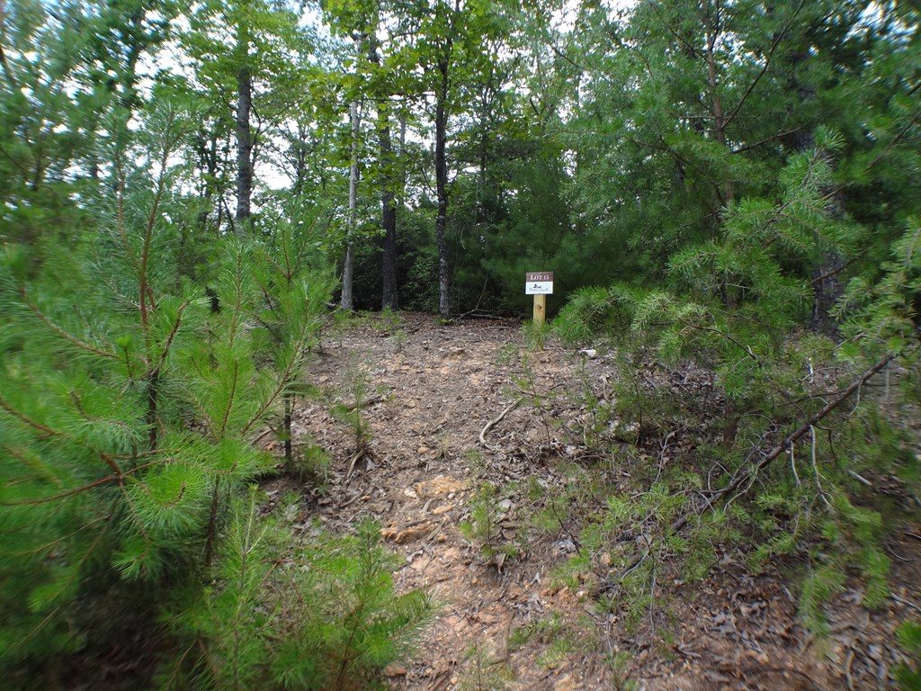 Lot # 15 Porter Creek Drive LOT 15