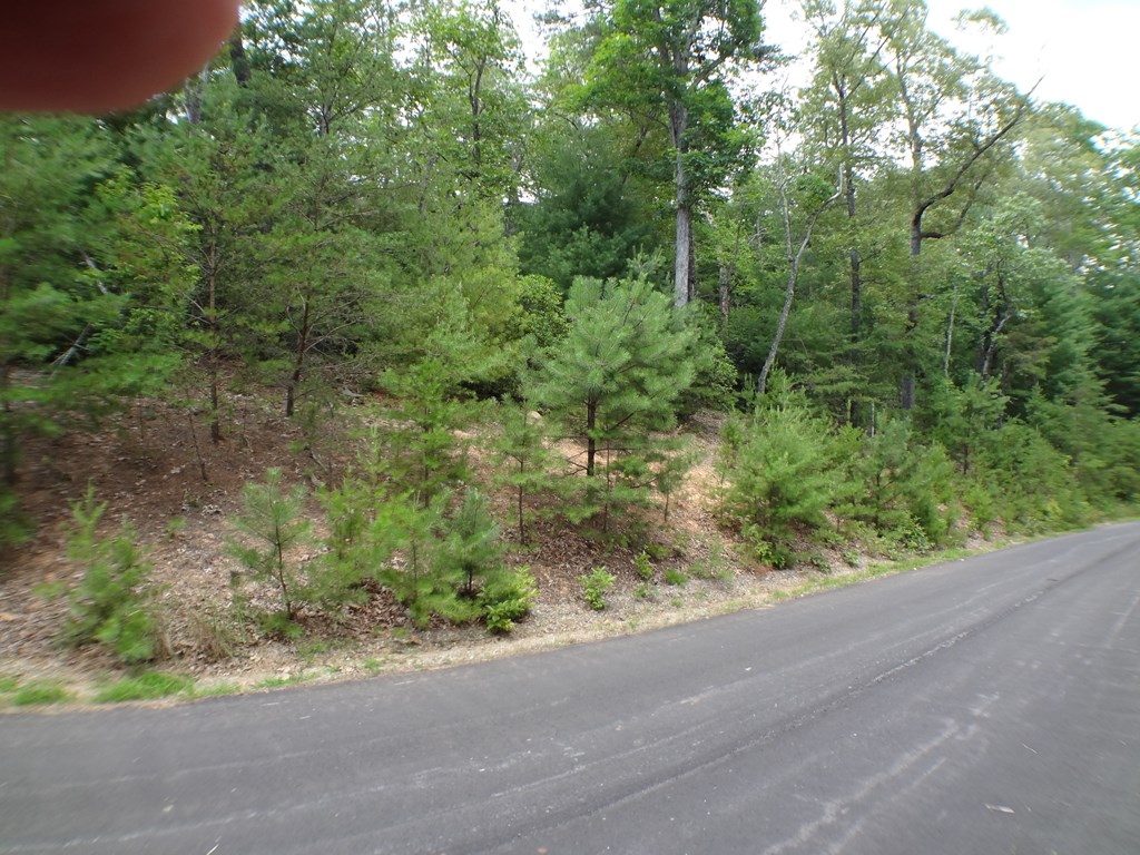 Lot # 15 Porter Creek Drive LOT 15