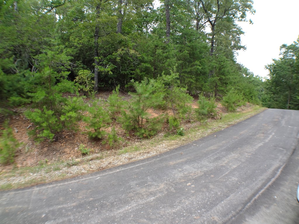 Lot # 15 Porter Creek Drive LOT 15