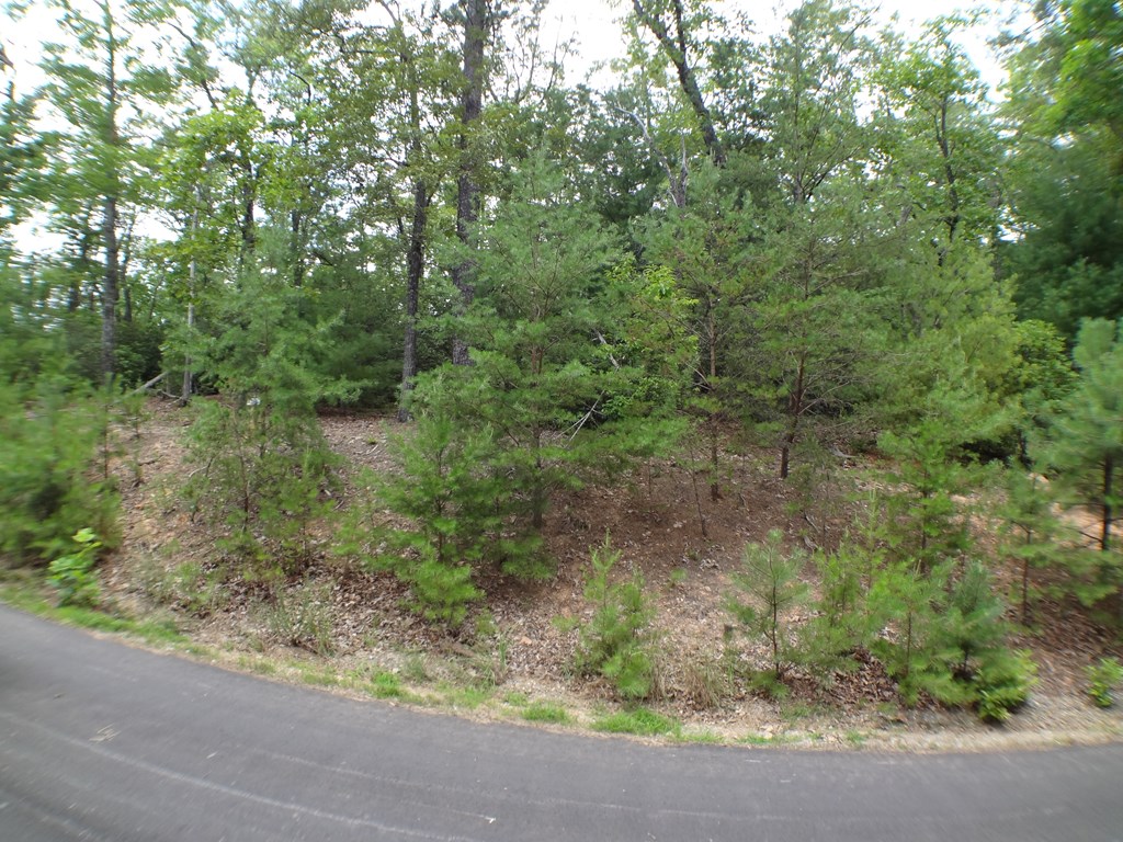 Lot # 15 Porter Creek Drive LOT 15