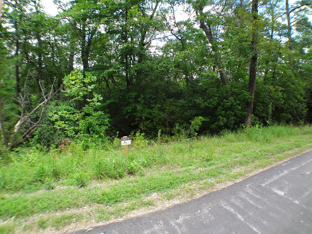 Lot #16 Porter Creek Drive LOT 16