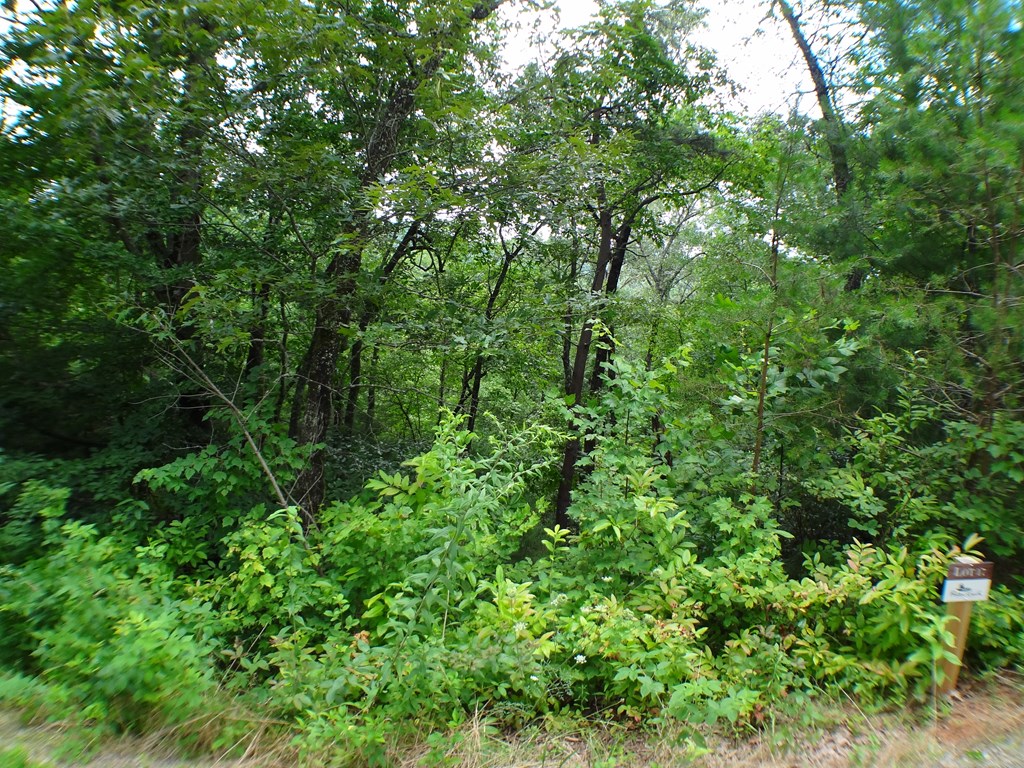 Lot #17 Porter Creek Drive LOT 17