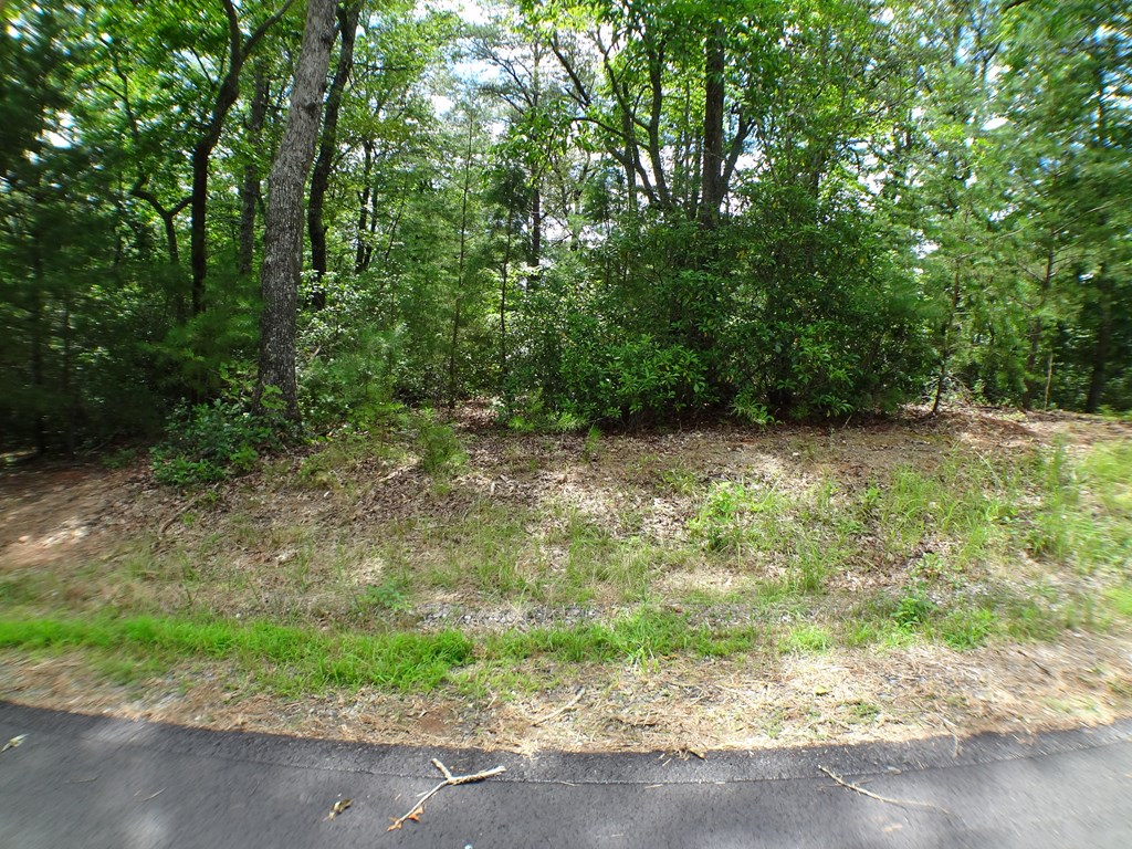 Lot #40 Porter Creek Drive LOT 40