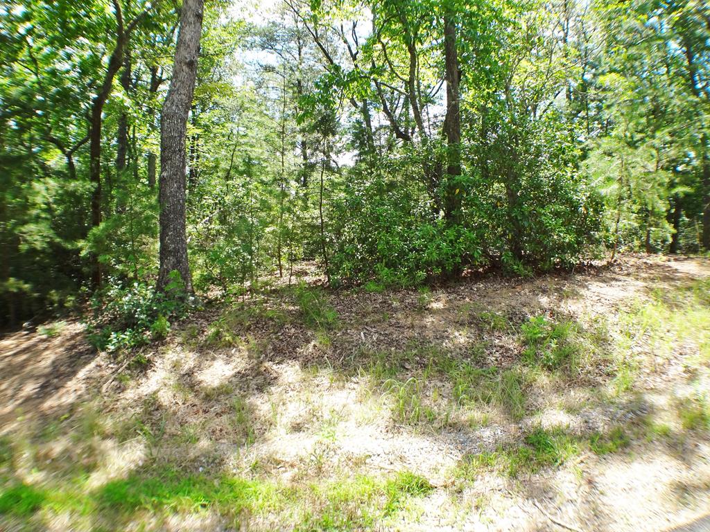 Lot #40 Porter Creek Drive LOT 40