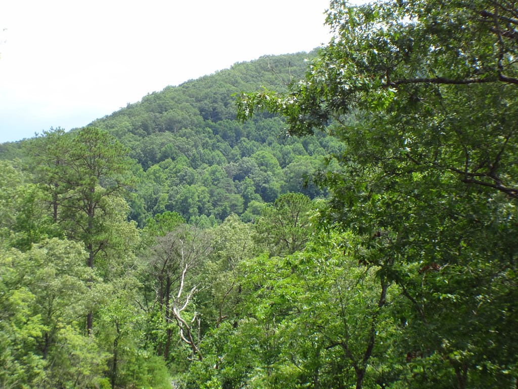 Lot #40 Porter Creek Drive LOT 40