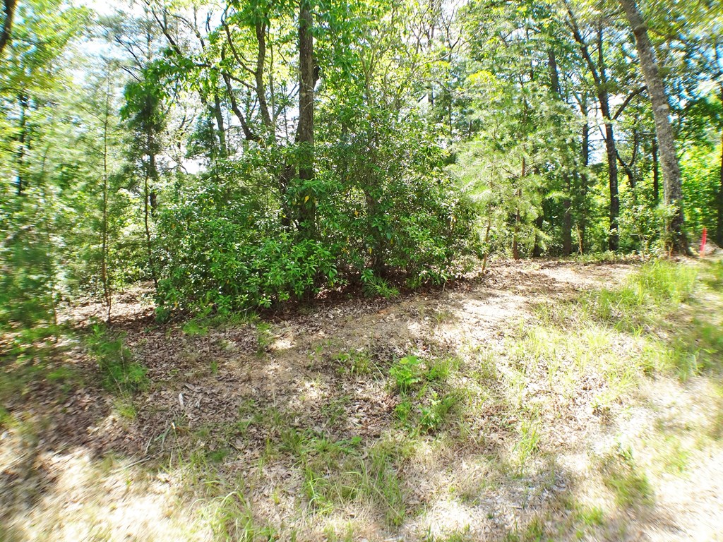 Lot #40 Porter Creek Drive LOT 40