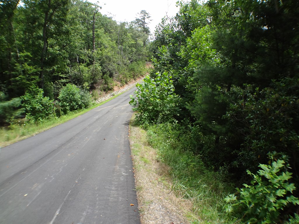Lot #41 Porter Creek Drive LOT 41