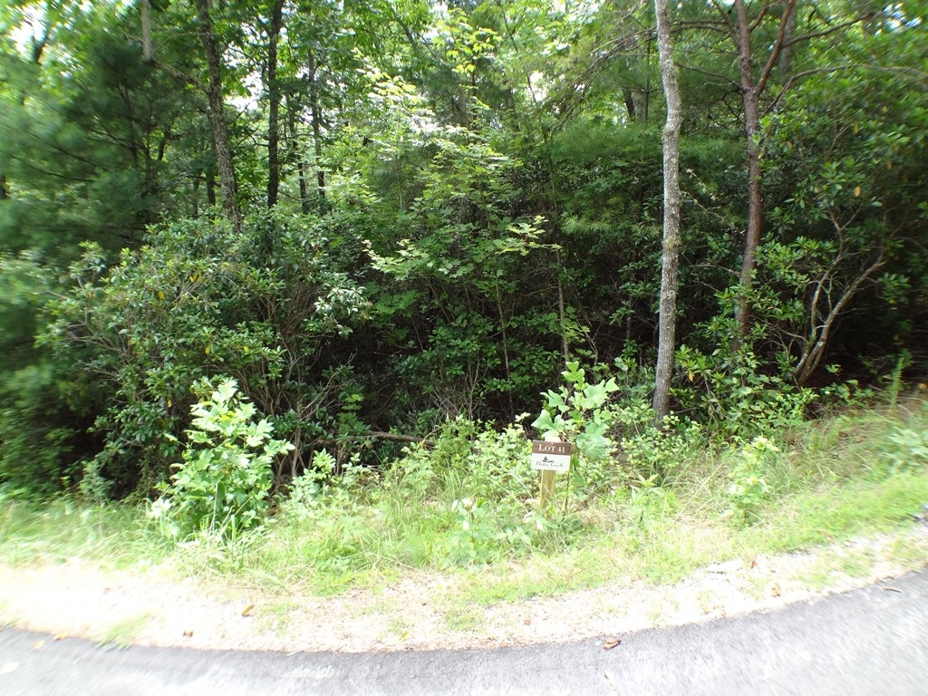Lot #41 Porter Creek Drive LOT 41