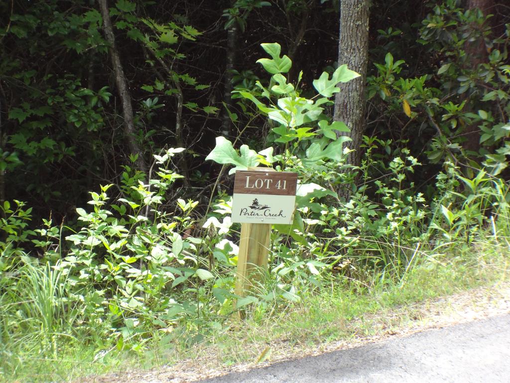 Lot #41 Porter Creek Drive LOT 41