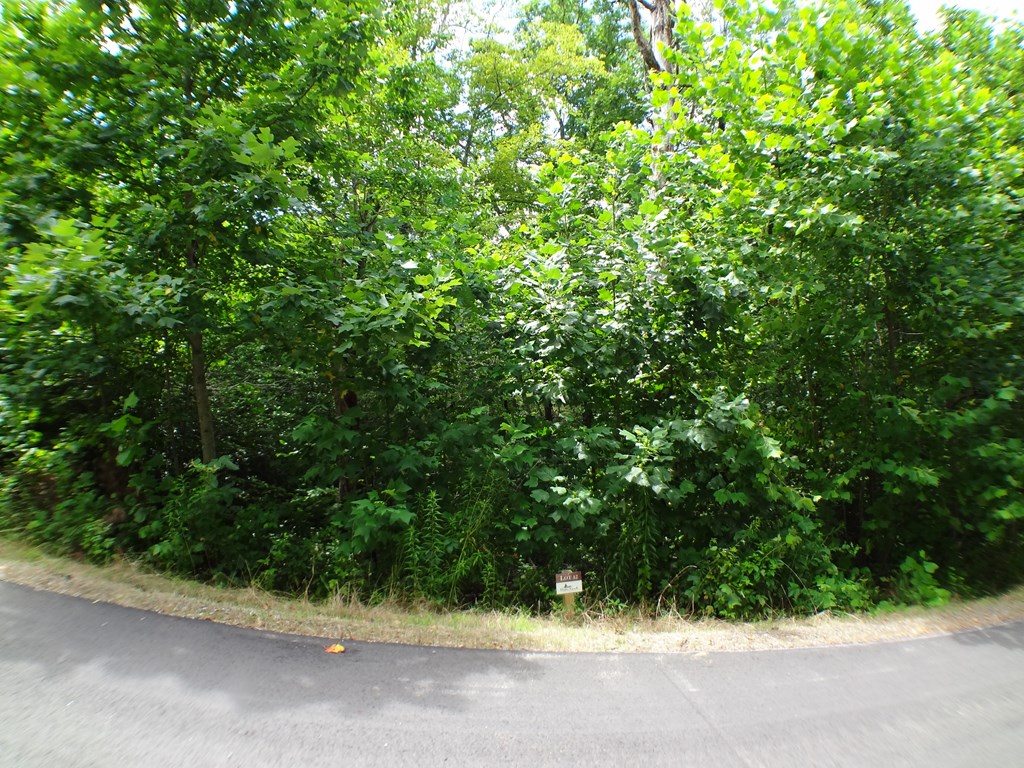 Lot #42 Porter Creek Drive LOT 42