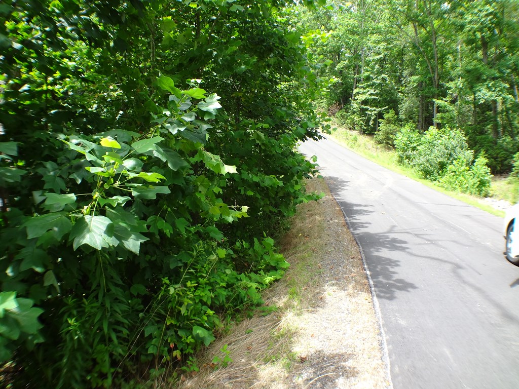 Lot #42 Porter Creek Drive LOT 42