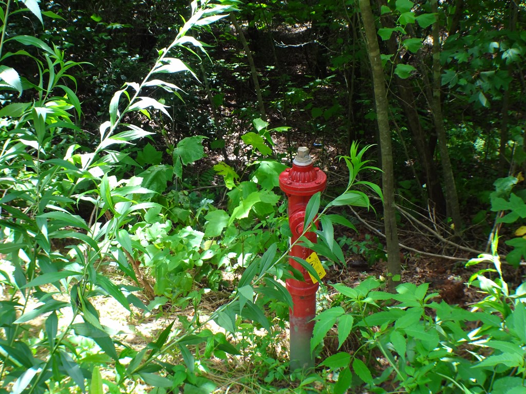 Lot #42 Porter Creek Drive LOT 42