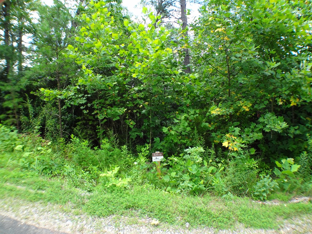 Lot # 43 Porter Creek Drive LOT 43