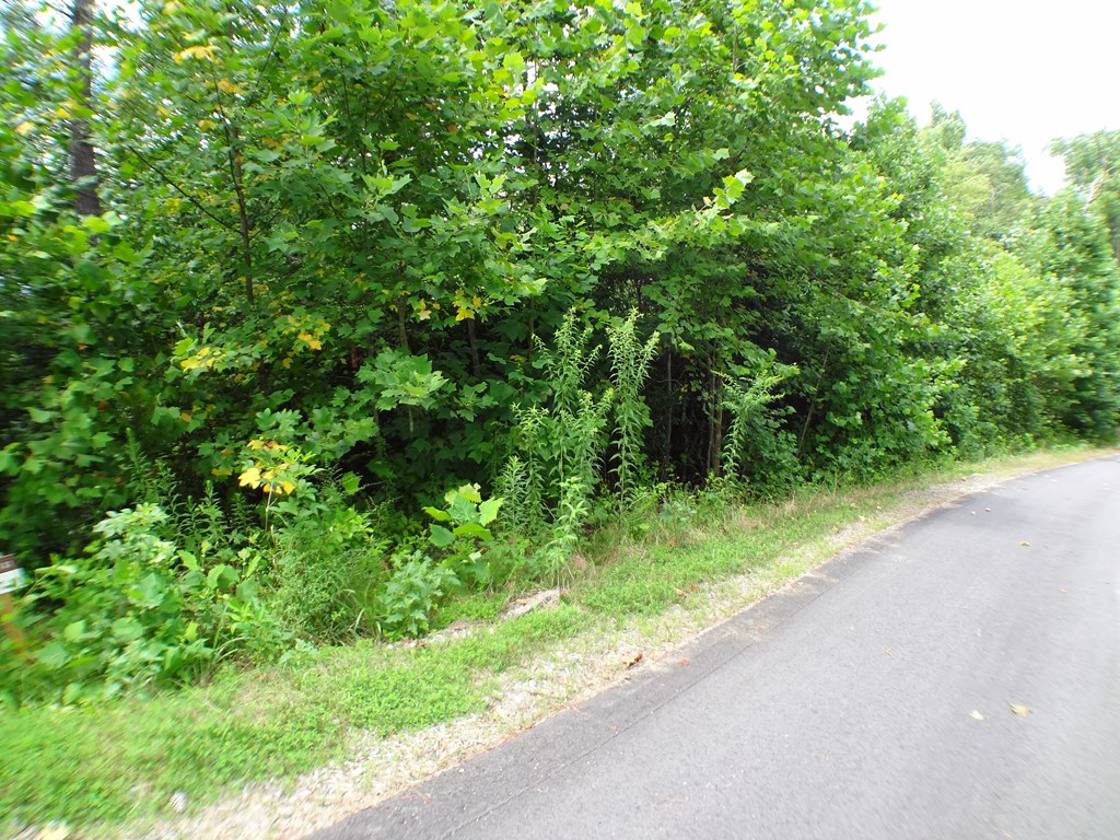 Lot # 43 Porter Creek Drive LOT 43