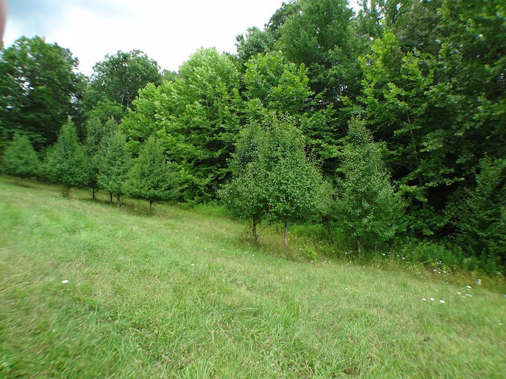Lot # 43 Porter Creek Drive LOT 43