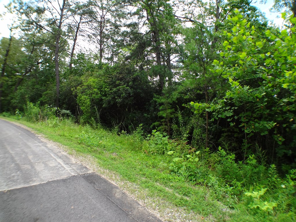 Lot # 43 Porter Creek Drive LOT 43