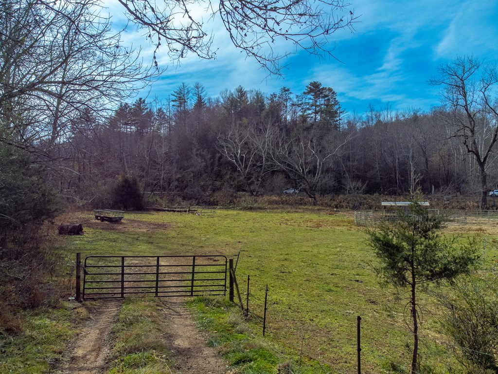 00 Belleview Rd