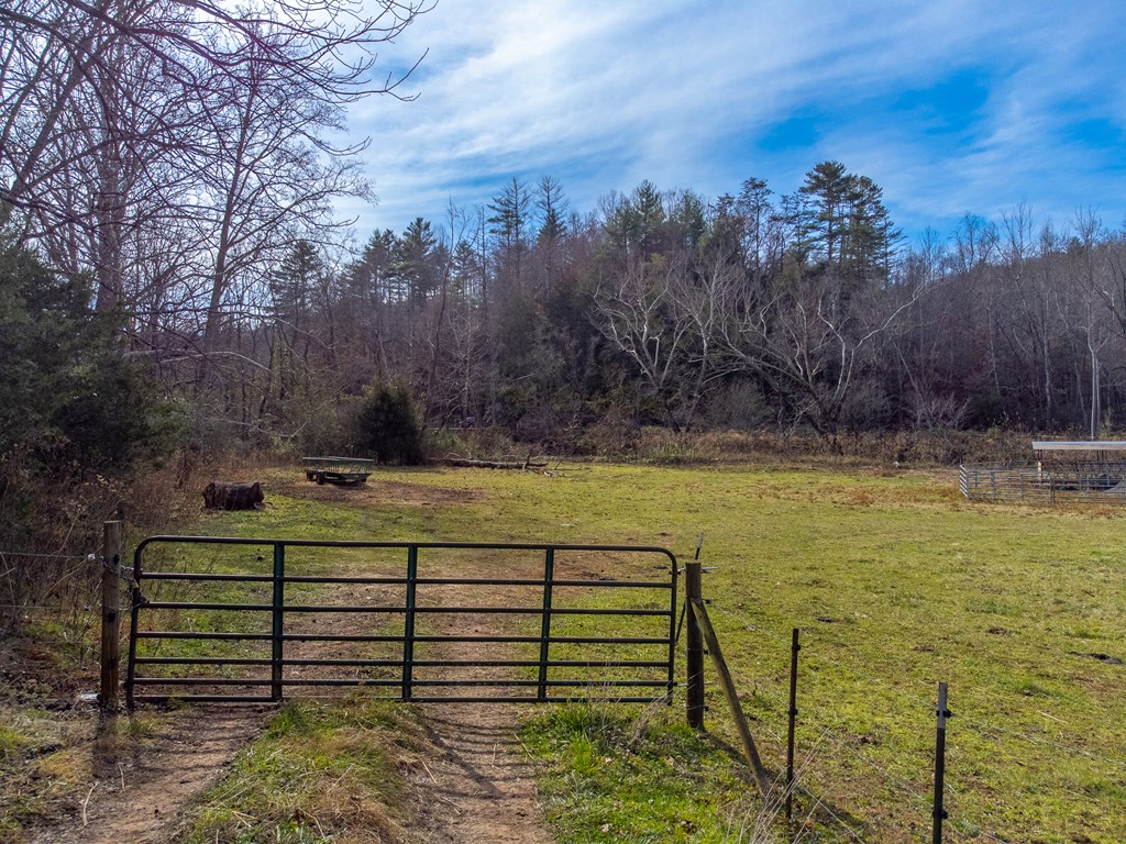 00 Belleview Rd