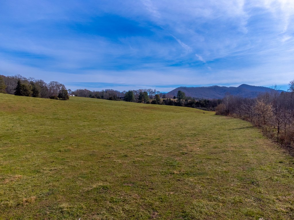 00 Belleview Rd