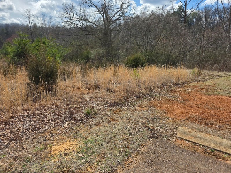 Lot #51 Porter Creek Dr LOT 51